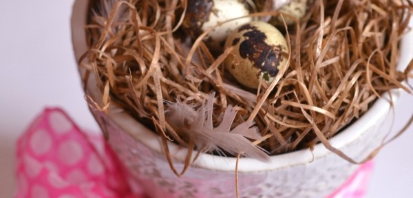 Vogelnest in der Vase: Schnelle Deko-Idee für den Frühling (DIY)