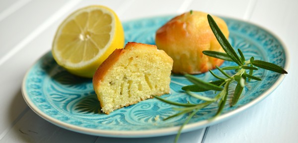 Zitronenküchlein mit Rosmarin – der Hit auf jedem Sommerbuffet!