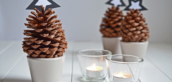 Last-Minute-Adventsdeko mit Tannenzapfen