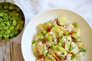 Gourmet-Kartoffelsalat mit Dicken BOhnen, Bacon und Estragon